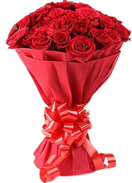 🌹 2 Dozen Red Roses (PK-102)