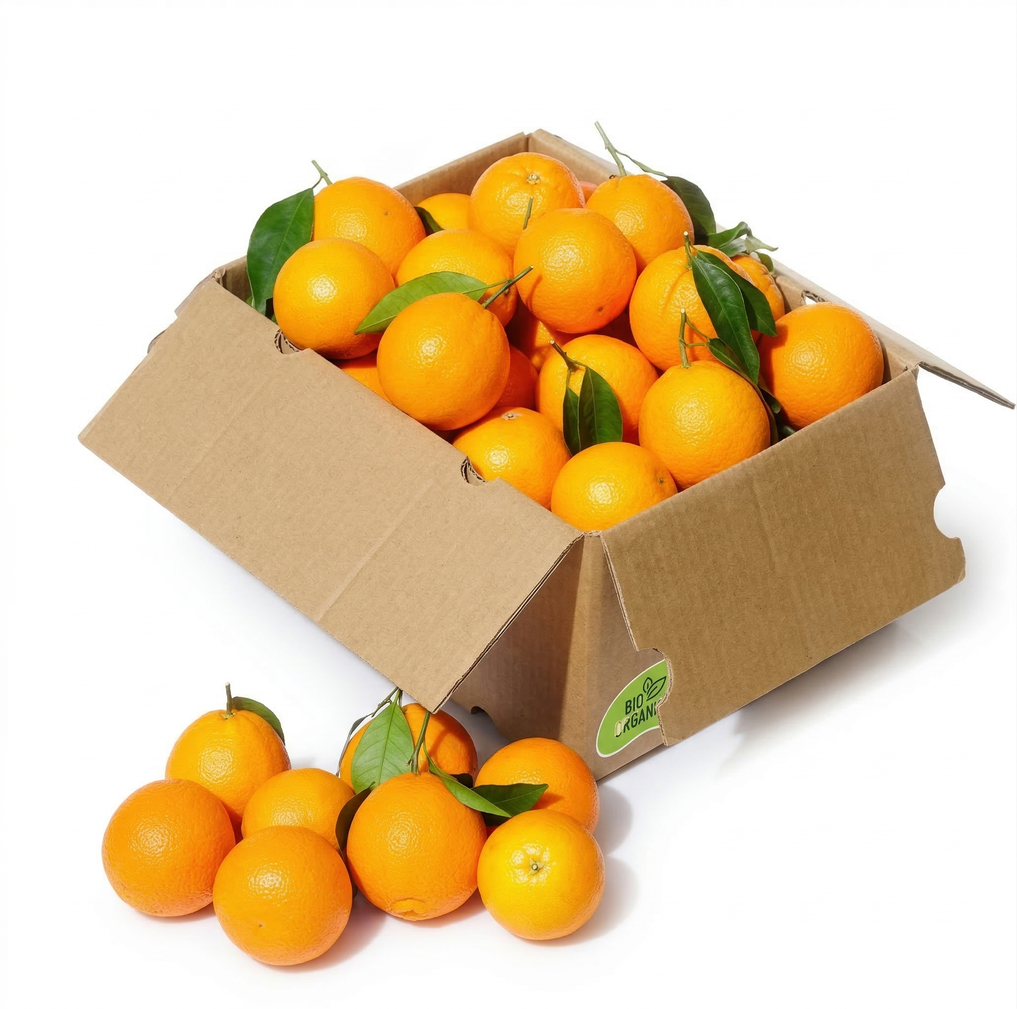 Fresh Juicy Orange Basket – 5 KG Premium Selection