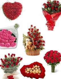 🌹 ROOM FULL OF ROSES (PK-125)