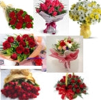 🌹 ROOM FULL OF ROSES & IMPORTED FLOWERS (PK-124)