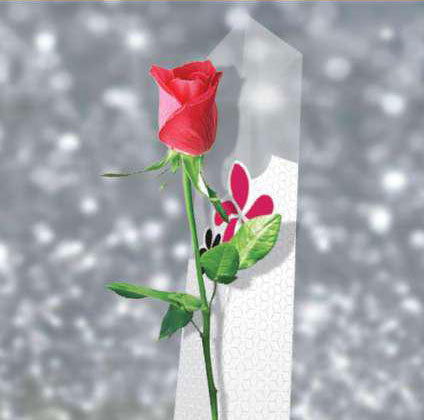 Aik Phool, Hazaron Jazbaat (SGTP-023)